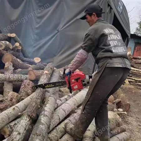 大功率汽油锯树机森林伐木锯 家用竹林收割汽油锯